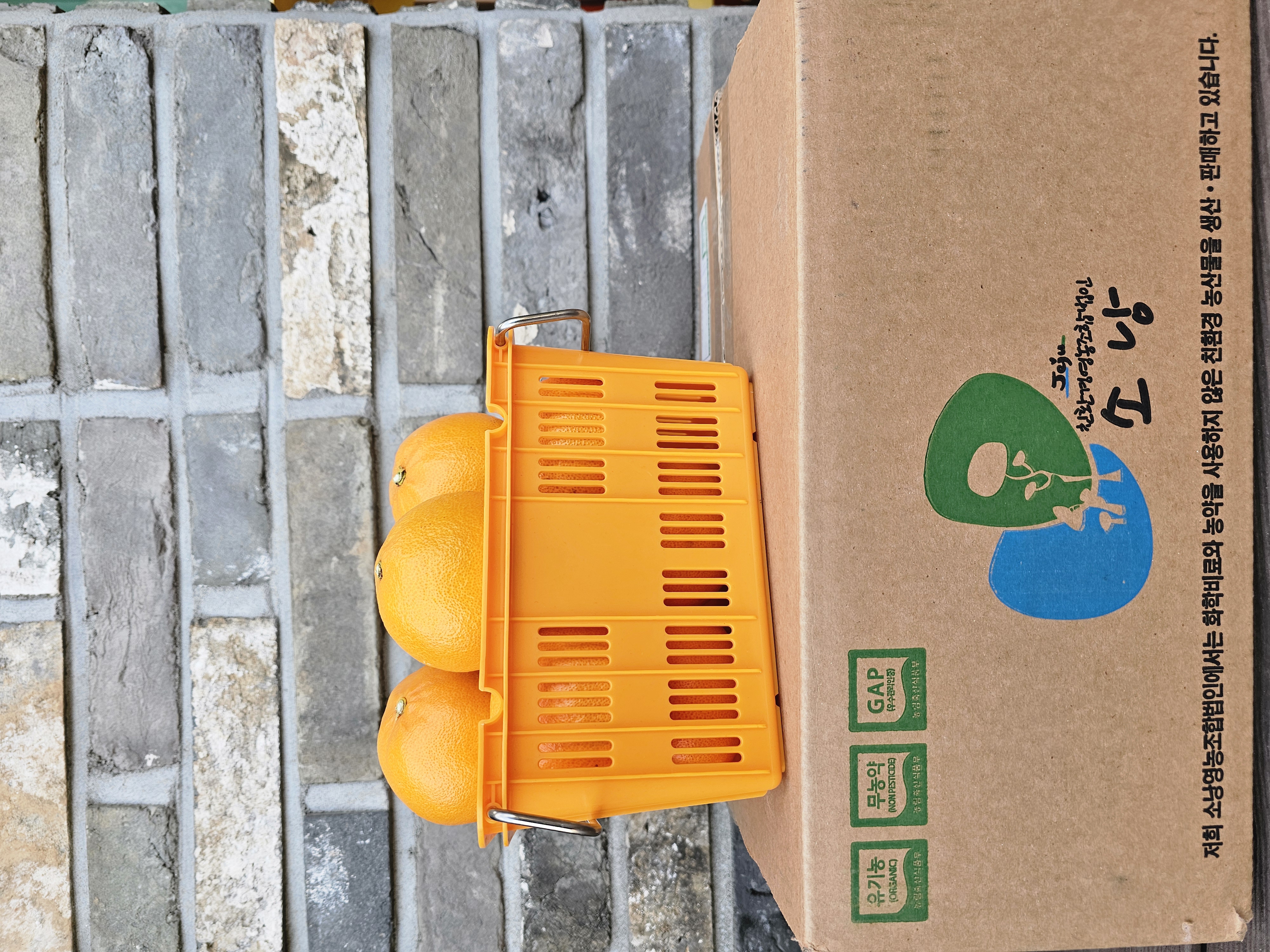 제주 천혜향 혼합과