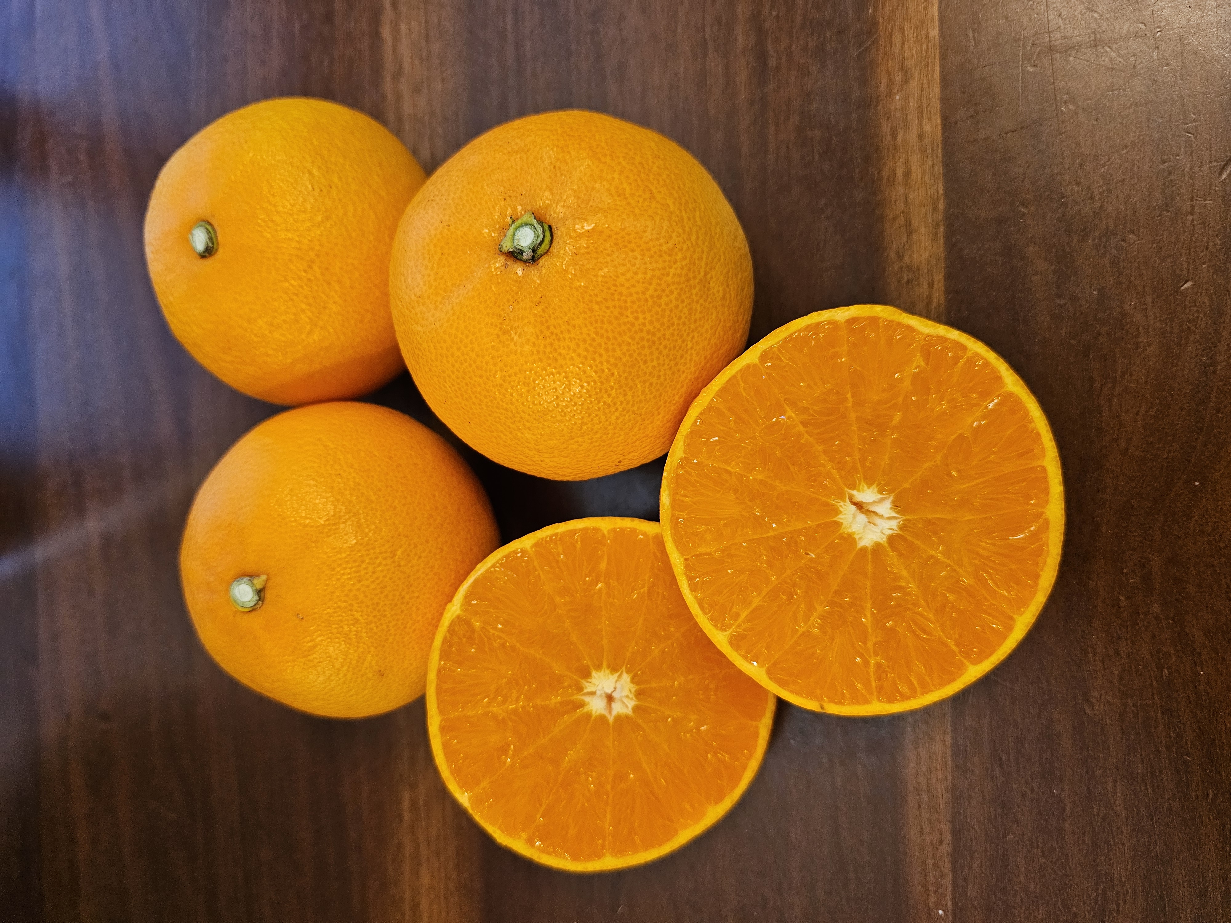 제주 천혜향 혼합과