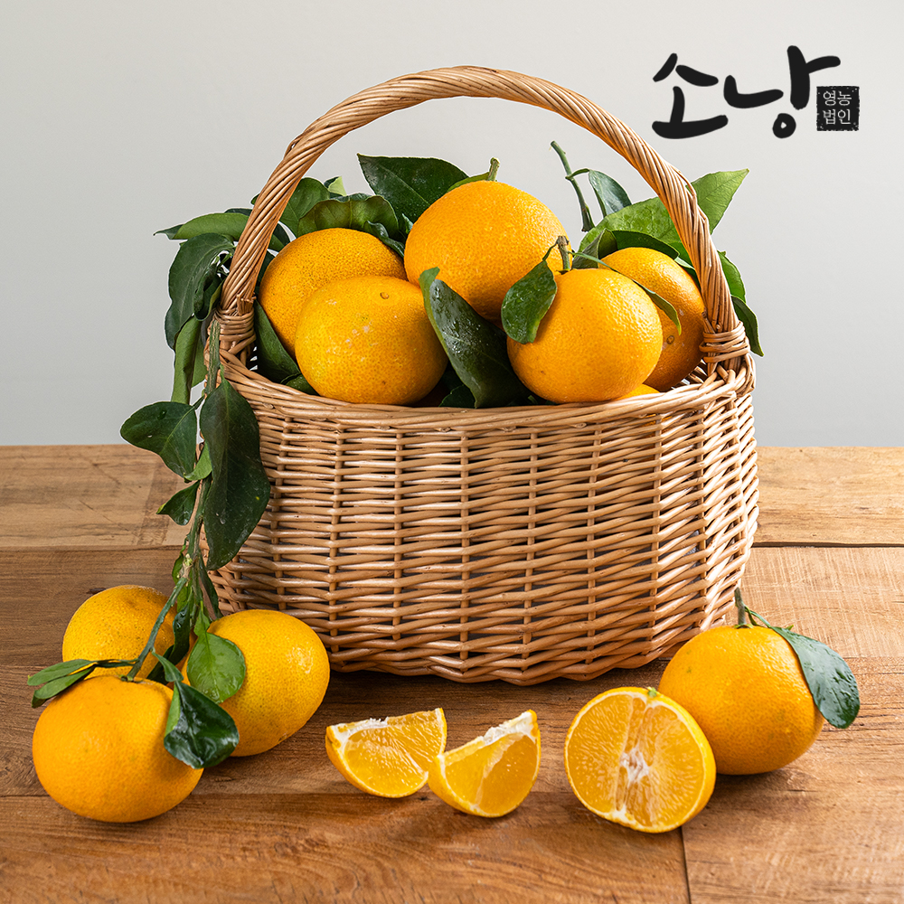 무농약 황금향 선물용 대과 3Kg, 5Kg
