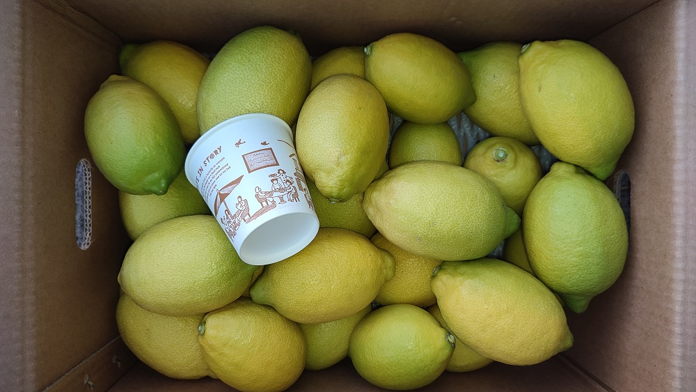 제주 레몬 제라몬